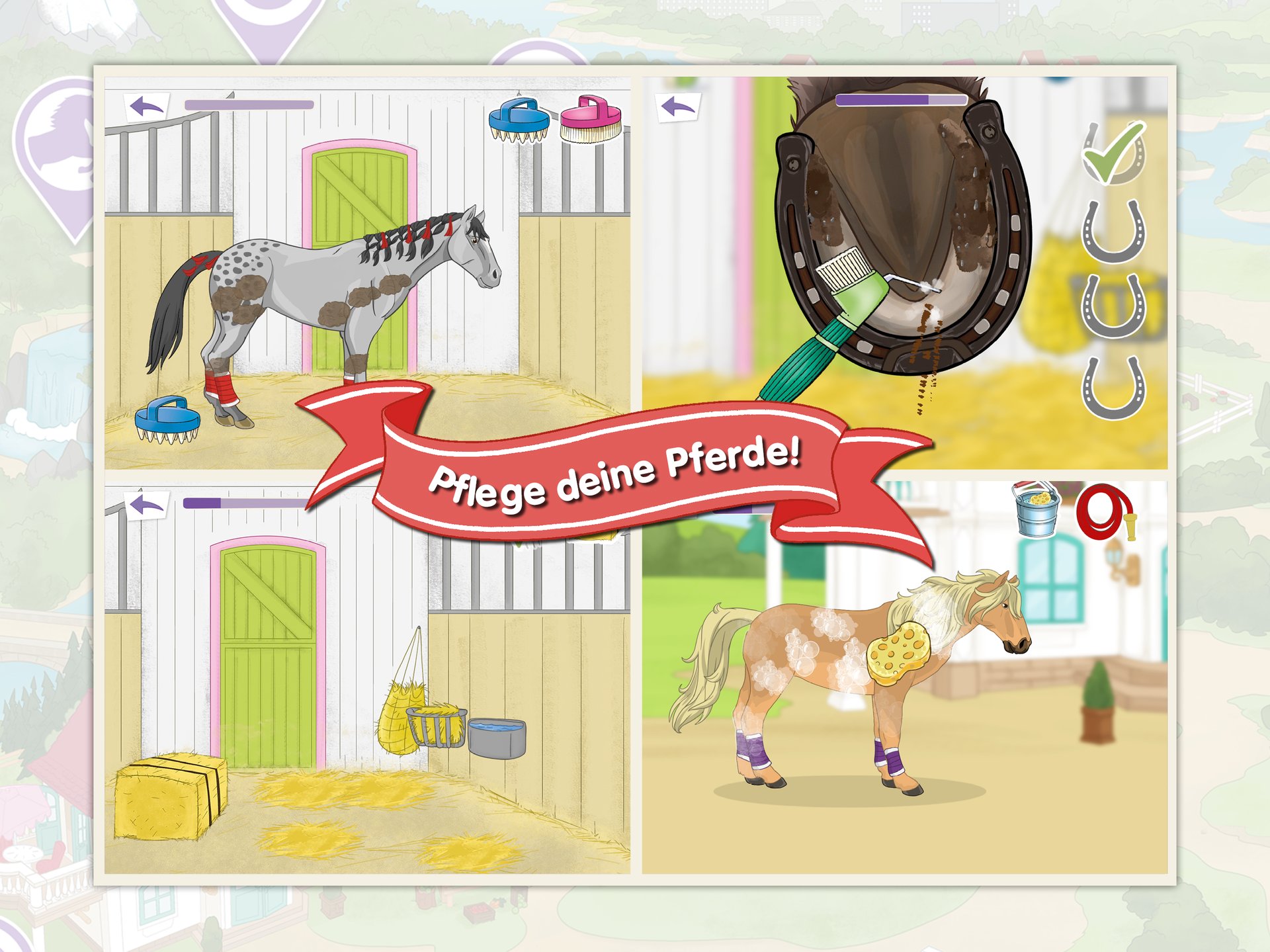 HorseClub - Gallery Image